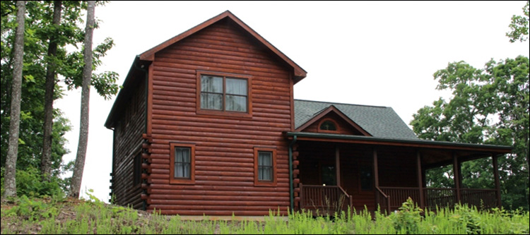 Professional Log Home Borate Application  Wilcox County, Georgia